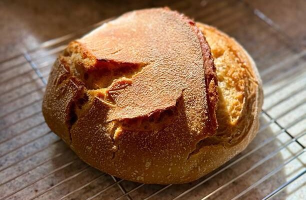 Pain de blé entier