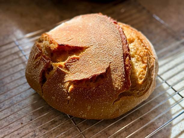 Pain de blé entier