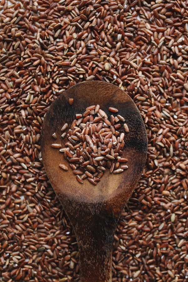 Salade de riz sauvage croquante