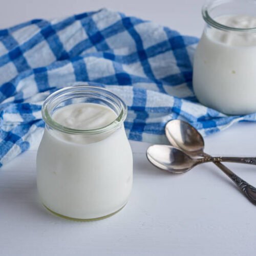 Yogourt maison